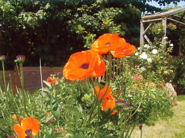 Wheelwrights Bed & Breakfast Abbotsbury Luaran gambar